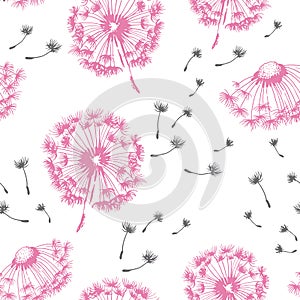 Dandelion hand drawn vector seamless pattern