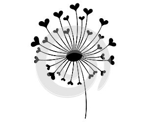 Dandelion with hearts. Black and white dandelion with flying seeds. Vector illustration of a summer flower. Silhouette