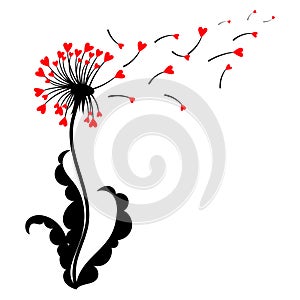 Dandelion with hearts. Black and white dandelion with flying seeds. Vector illustration of a summer flower. Silhouette