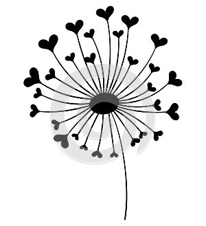 Dandelion with hearts. Black and white dandelion with flying seeds. Vector illustration of a summer flower. Silhouette