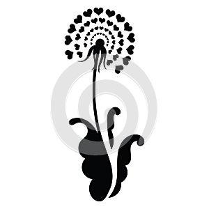 Dandelion with hearts. Black and white dandelion with flying seeds. Vector illustration of a summer flower. Silhouette