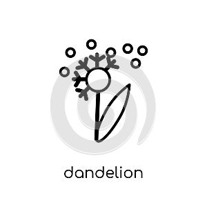 Dandelion icon. Trendy modern flat linear vector Dandelion icon