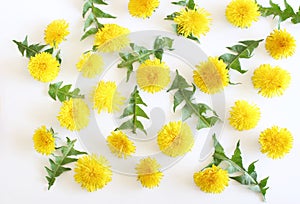 Dandelion isolated on white background. Easter card with space for your greetings.