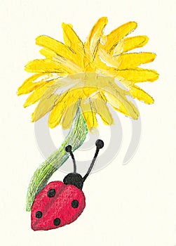 Dandelion and ladybug