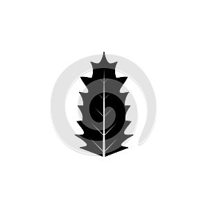 Dandelion Leaf, Taraxacum Blowball Leaves. Flat Vector Icon illustration. Simple black symbol on white background