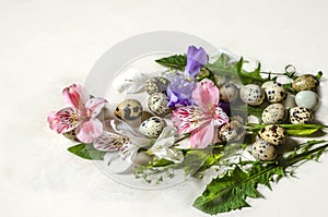 Dandelion leaves,quail eggs with flowers of pink and white Alstroemeria and branches of purple iris against white plywood