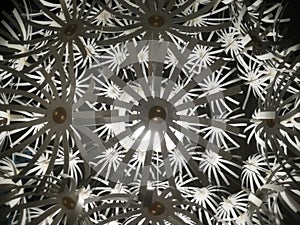 Dandelion pattern closeup