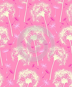 Dandelion Repeater Pattern Background Pink