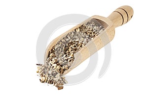 Dandelion root or in latin Taraxaci radix in wooden scoop isolated on white background. medicinal healing herbs