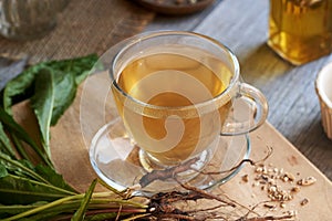 Dandelion root tea in a glass cup