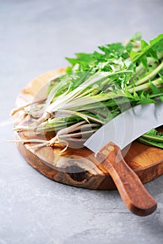 Dandelion with roots on wooden board, copy space. Naturopathy concept, herbal holistic medicine, alternative approach. Low fat