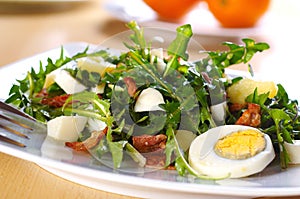 Dandelion salad