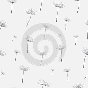 Dandelion seamless background