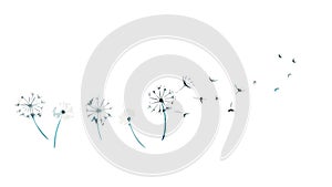 Dandelion Seeds Blowing in Wind, vector design Generative AI