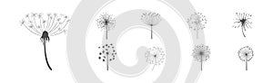 Dandelion Signs Black Thin Line Icon Vector Set