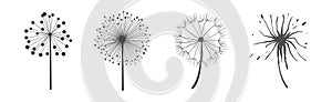 Dandelion Signs Black Thin Line Icon Vector Set