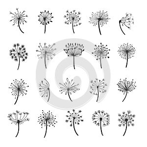 Dandelion silhouette icons