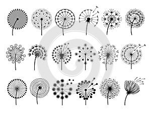 Dandelion silhouettes. Herbal illustrations flowers decoration concept vector botany illustrations