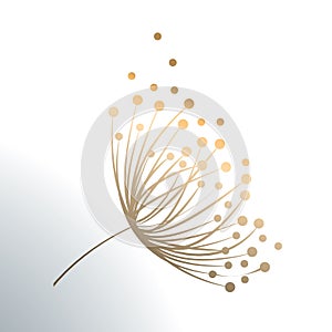 Dandelion vector logo