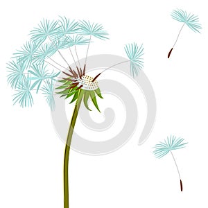 Dandelion on the wind