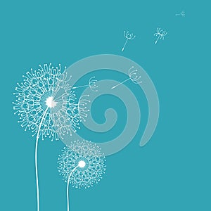 Dandelion in the wind background