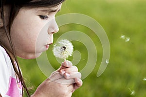 Dandelion Wish