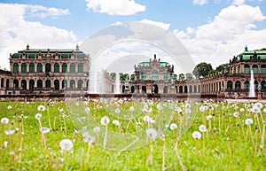 Dandelions in of the Art Gallery Dresden photo