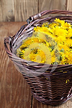 Dandelions in a basket