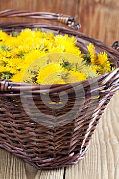 Dandelions in a basket