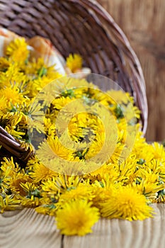 Dandelions in a basket