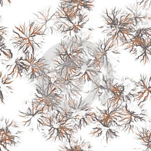 Dandelions.Handmade watercolor floral motive on white background. Grey and brown colors. Seamless pattern