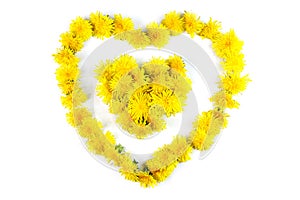 Dandelions heart isolated on white background - homeopathy, cooking