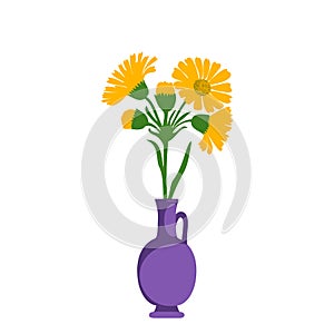 Dandelions plant in pot isolated on white background. Floral botanical daisy bouquet yellow flowers and green leaves vector