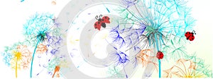 Dandelions rainbow color with Ladybird bugs- Facebook cover