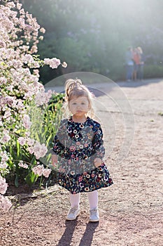 Dandelions sunset child.