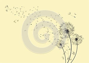 Dandelions in the wind - vector.