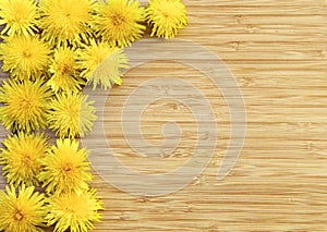 Dandelions on Wood with Copy Space