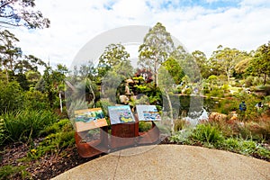 Dandenong Ranges Botanic Garden in Olinda Australia