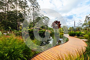 Dandenong Ranges Botanic Garden in Olinda Australia