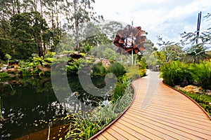 Dandenong Ranges Botanic Garden in Olinda Australia