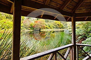 Dandenong Ranges Botanic Garden in Olinda Australia