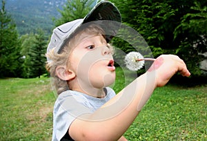 Dandilion Blow