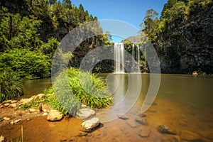 Dangar Falls in the Rainforest of Dorrigo National Park, Australia