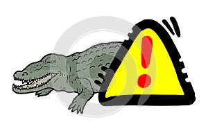 Danger crocodile