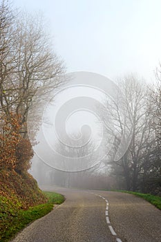 Danger foggy road in the forest