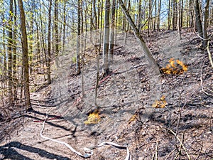 Danger Forest fire in Germany