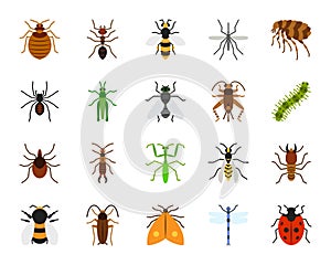 Pericolo insetti semplice un appartamento colore icone vettore impostato 