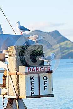 Danger, Keep Off Sign