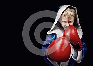 Danger looking little boxing fighter