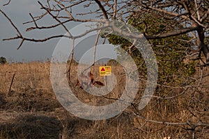 DANGER mines sign, Golan Heights Israel